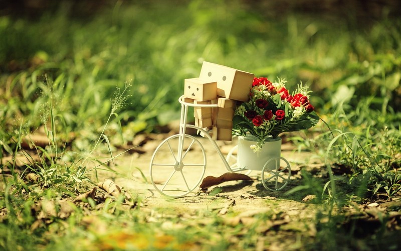 danbo, cute, garden