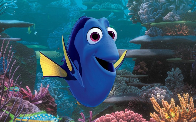 finding dory, movies, animated movies, 2016 movies
