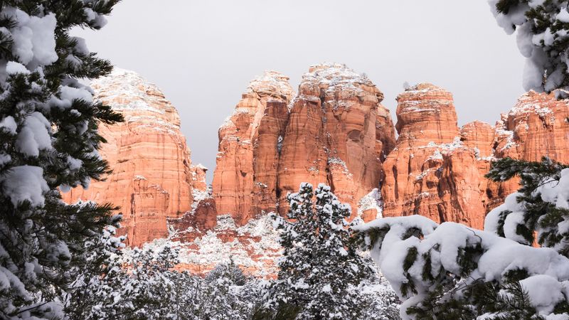 canyon, rocks, snow, trees, winter, 4k
