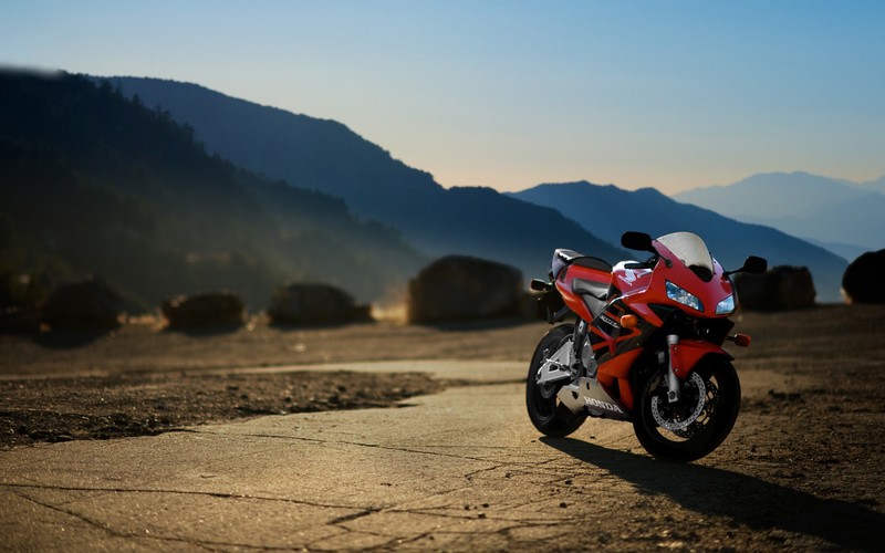 honda, bikes, honda cbr, motorcycle