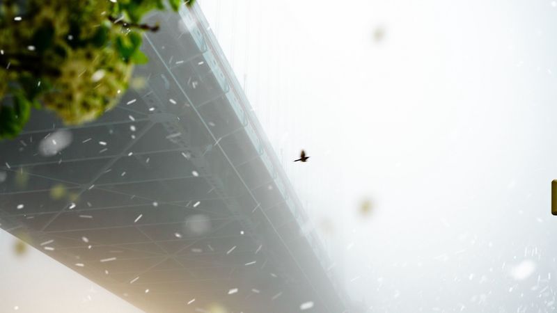 bridge, blizzard, fog, bird, 4k