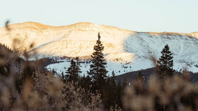 mountains, hills, trees, bushes, landscape, 4k