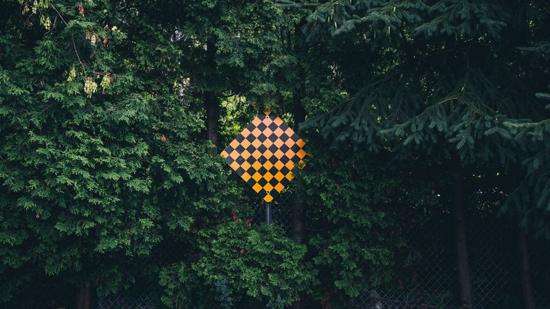 sign, forest, trees, 4k