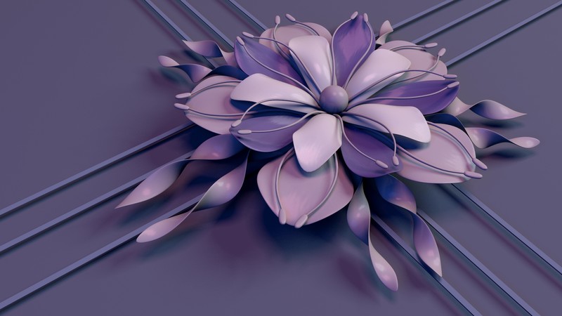 abstract, petals