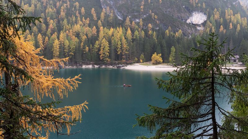 lake, boat, water, shore, trees, 4k