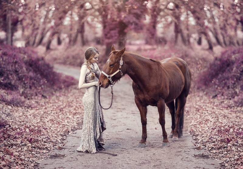 girls, horse, animals, pink