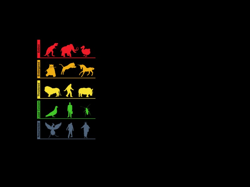 life, evolution, minimalism, inspiration
