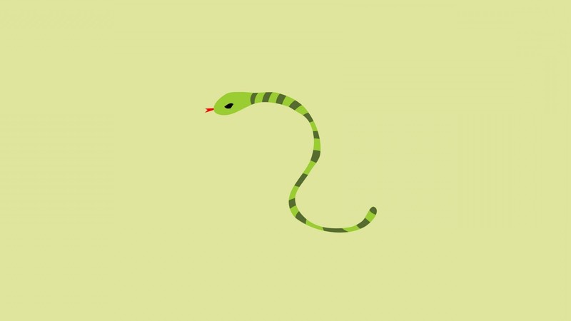 snake, minimalism, artist