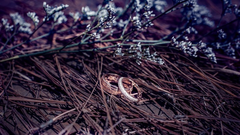weeding couple, love, heart, ring