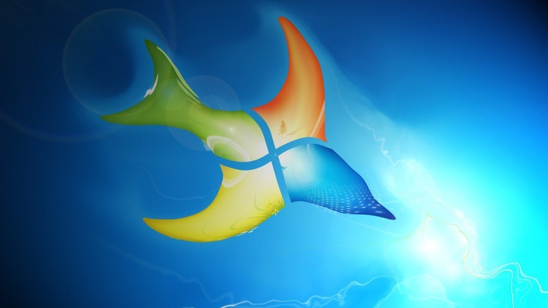 windows, windows 7, fish, artist