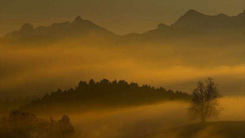 mountains, fog, hills, trees, dusk, 4k