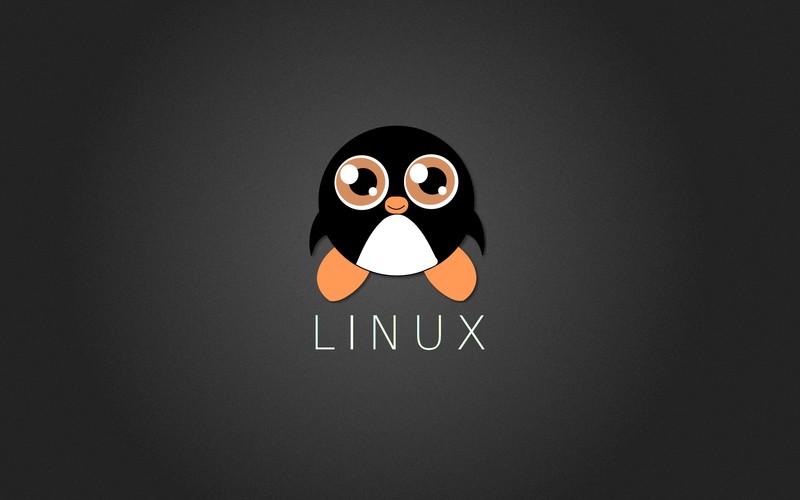 tux, linux, computer, ubuntu, penguin