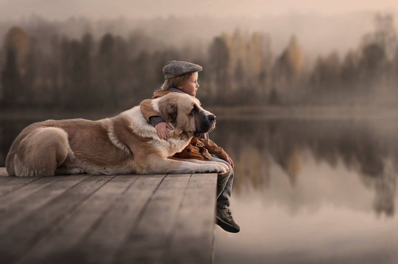 kids, animals, dog, love
