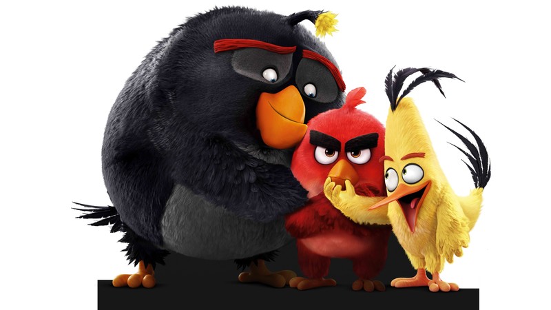 angry birds, birds, movies, animated movies, 2016 movies, the angry birds movie