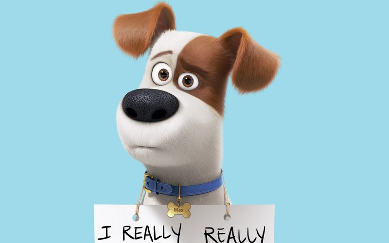 the secret life of pets, movies, animated movies, cartoons