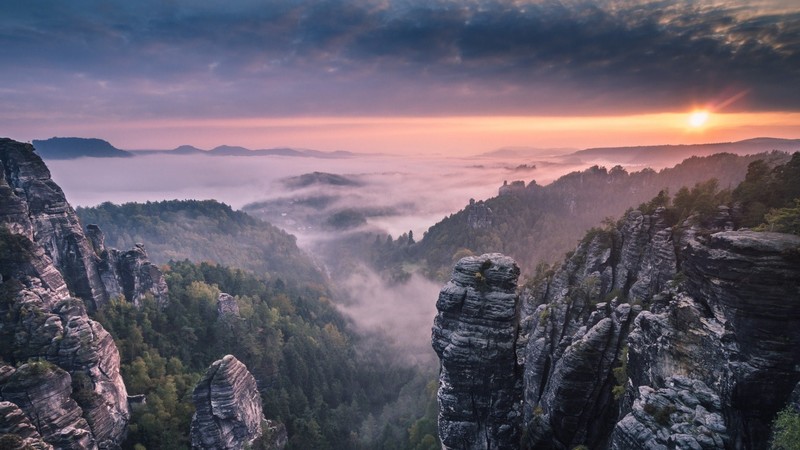 morning, forest, mountains, nature
