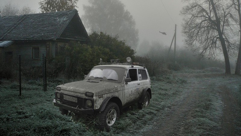cars, forest