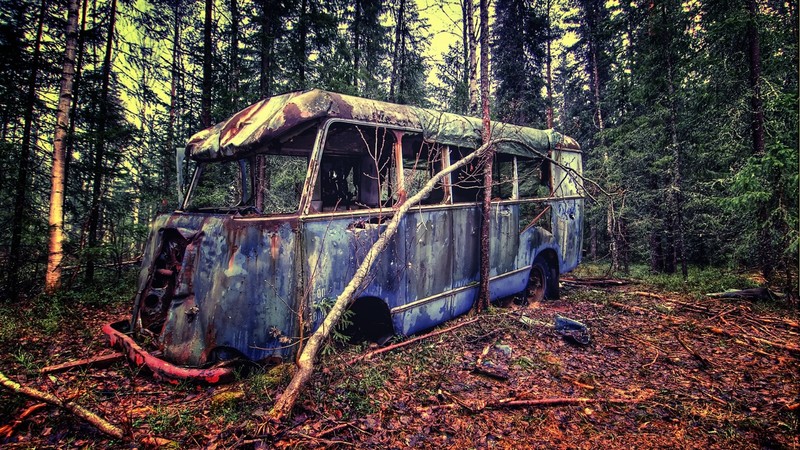 vintage, bus, forest