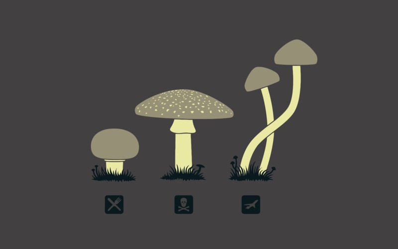 mushroom, minimalism