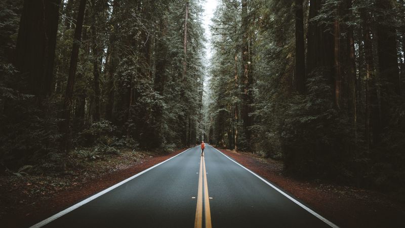 road, person, silhouette, trees, forest, 4k