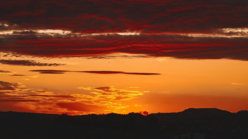 sky, sunset, trees, silhouette, 4k