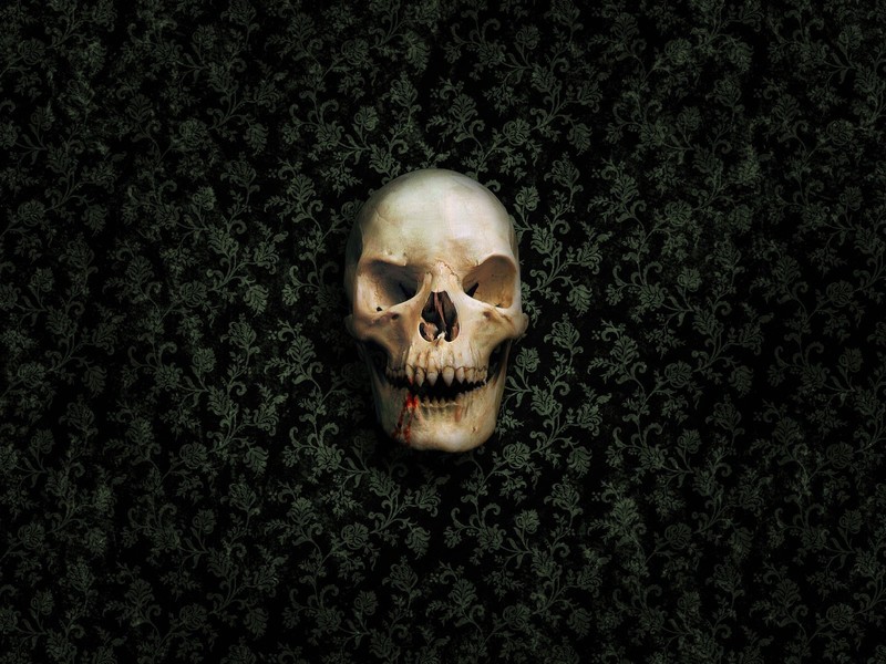 skull, artist
