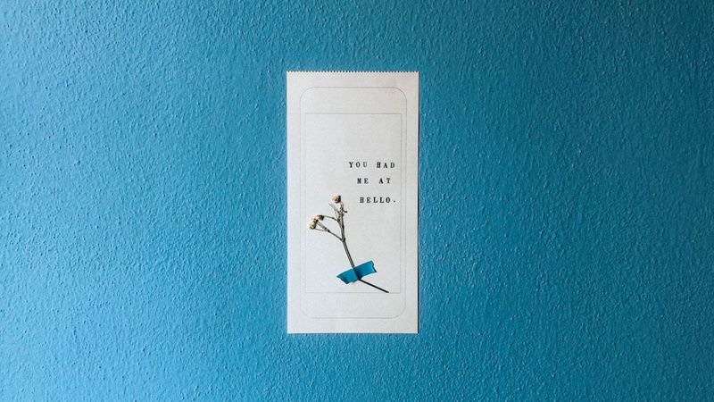 hello, words, inscription, flower, wall, 4k