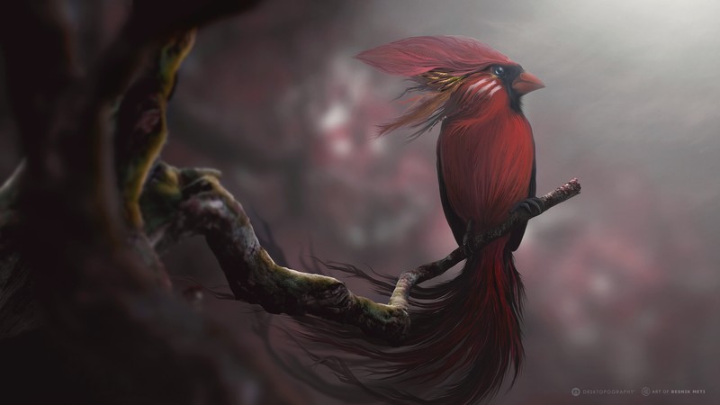 bird, artist, digital art