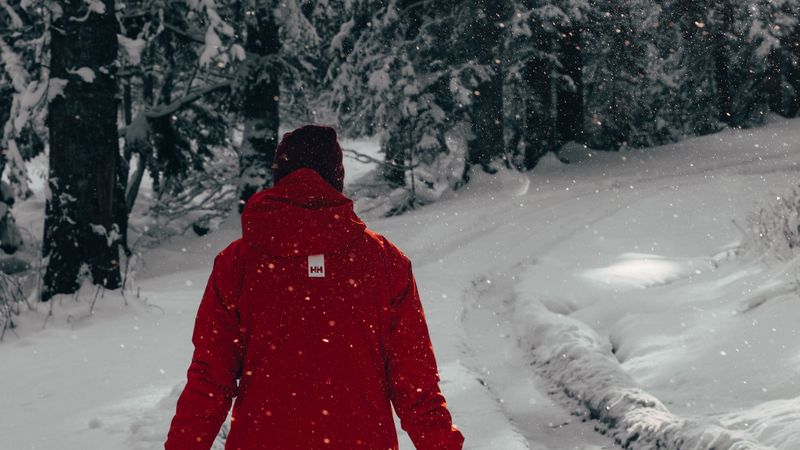 man, snow, trees, winter, walk, 4k