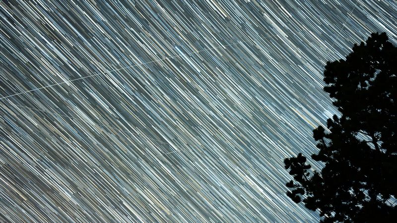 starry sky, starfall, stripes, trees, silhouette, 4k