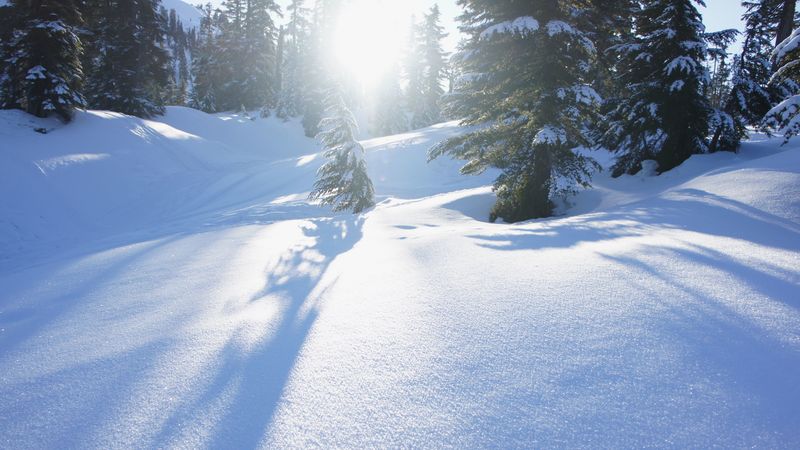 snow, trees, sunlight, snowdrifts, winter, 4k