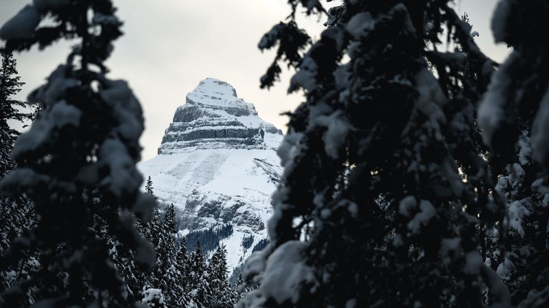 mountain, peak, snow, trees, landscape, 4k