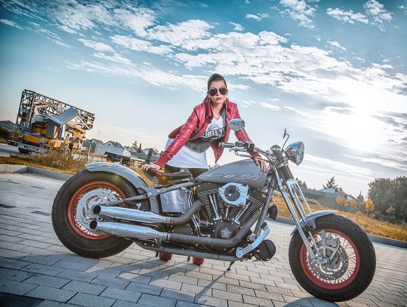 harley davidson, bikes