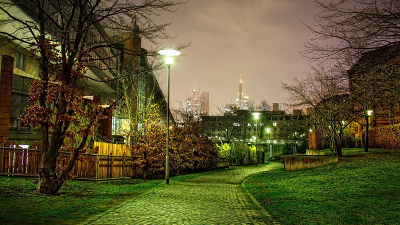 street, photography, trees