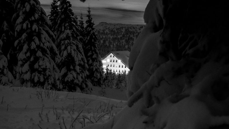 snow, trees, house, night, winter, bw, 4k