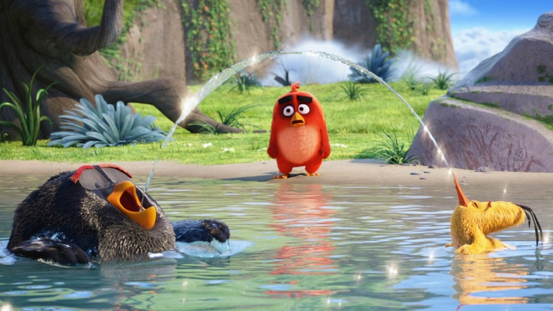 angry birds, birds, movies, animated movies, 2016 movies, the angry birds movie