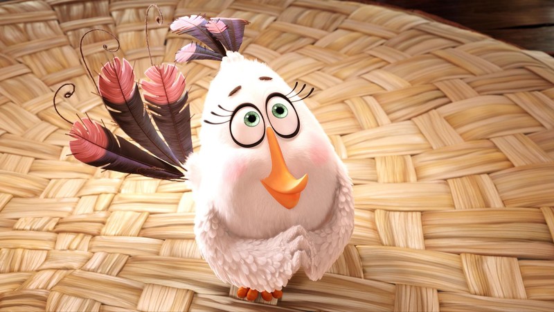 angry birds, birds, movies, animated movies, 2016 movies, the angry birds movie