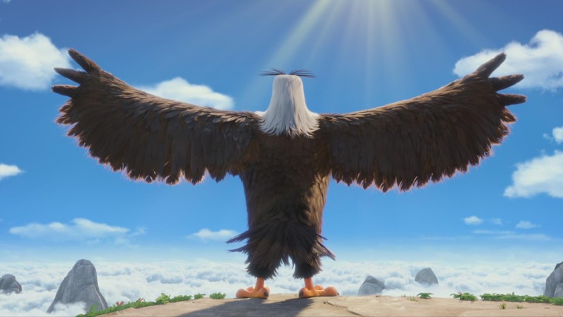 angry birds, birds, movies, animated movies, 2016 movies, the angry birds movie