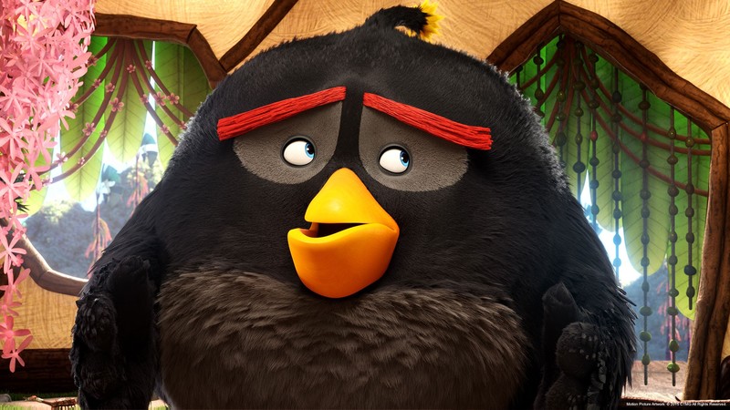 angry birds, birds, movies, animated movies, 2016 movies, the angry birds movie