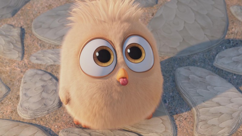 angry birds, birds, movies, animated movies, 2016 movies, the angry birds movie