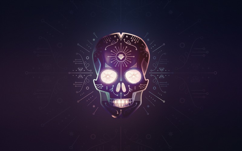 hardwell, music, skull