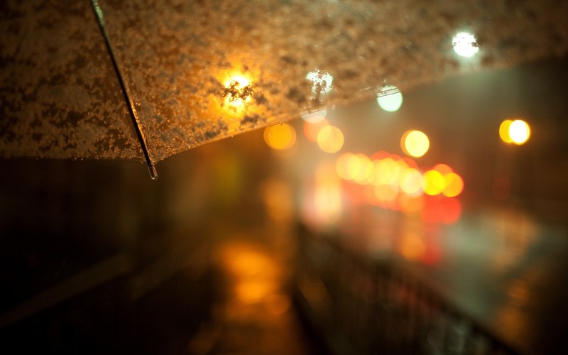 umbrella, photography