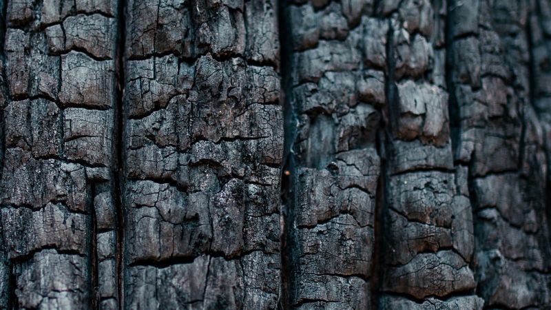 wood, coal, texture, black, 4k
