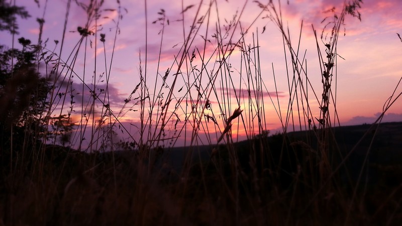pink, sky, nature