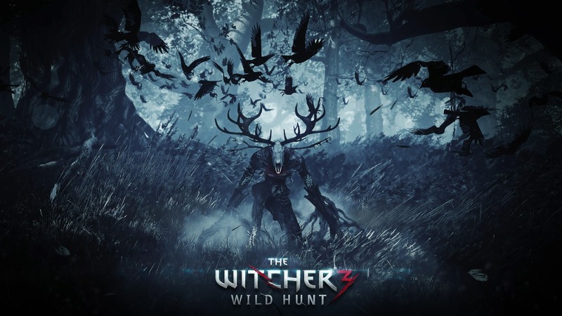 the witcher 3, games, ps4 games, xbox games, pc games, artist, digital art, artwork
