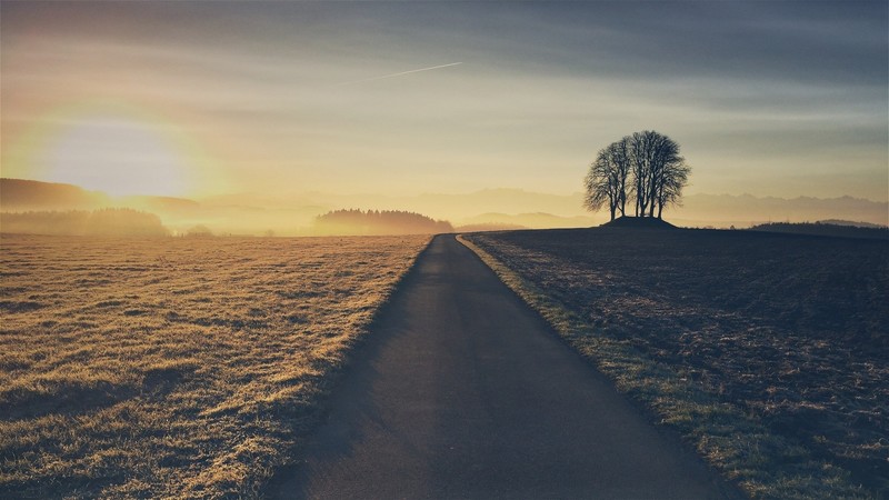 road, nature