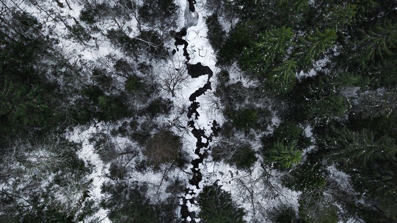 river, forest, aerial view, snow, winter, 4k