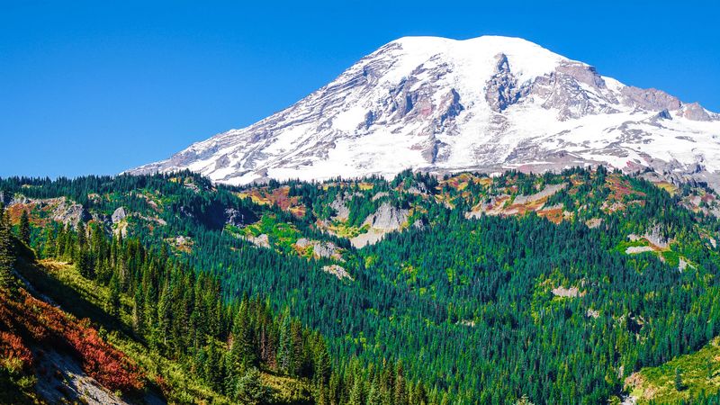 mountain, peak, snowy, slope, forest, 4k