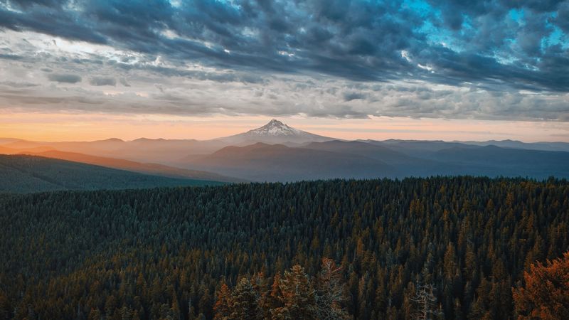 mountains, forest, clouds, fog, landscape, 4k