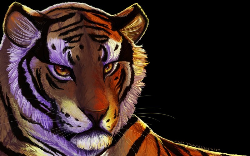 tiger, artist